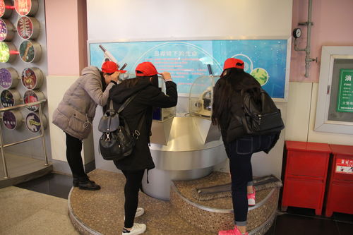 樂于探索，熱愛科學 酒店管理系青年志愿者赴科技館開展專業融合之旅